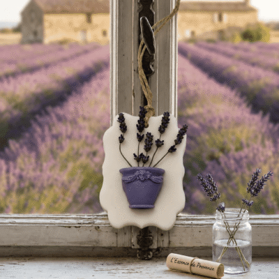 Hand holding flower pot on shelf